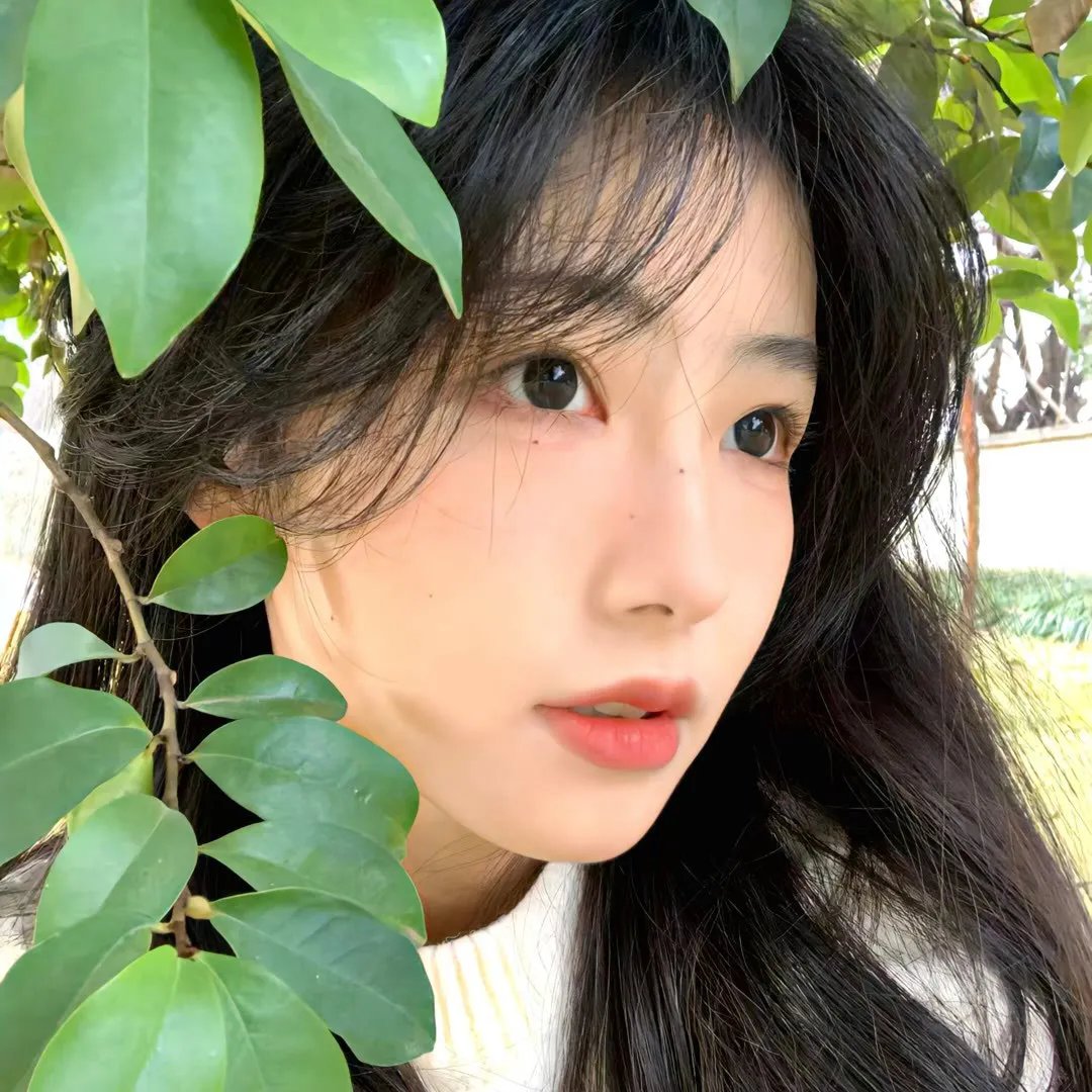 姐妹煞